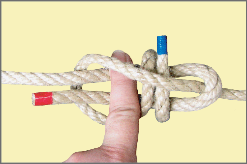 Seemannsknoten - Doppelter Schotstek / Anleitung Schritt 1: Machen Sie einen einfachen Schotstek aber lassen Sie den Zeigefinger noch drin und ziehen Sie ihn nicht fest. Schlagen Sie das dünne Ende noch einmal um die Bucht herum.